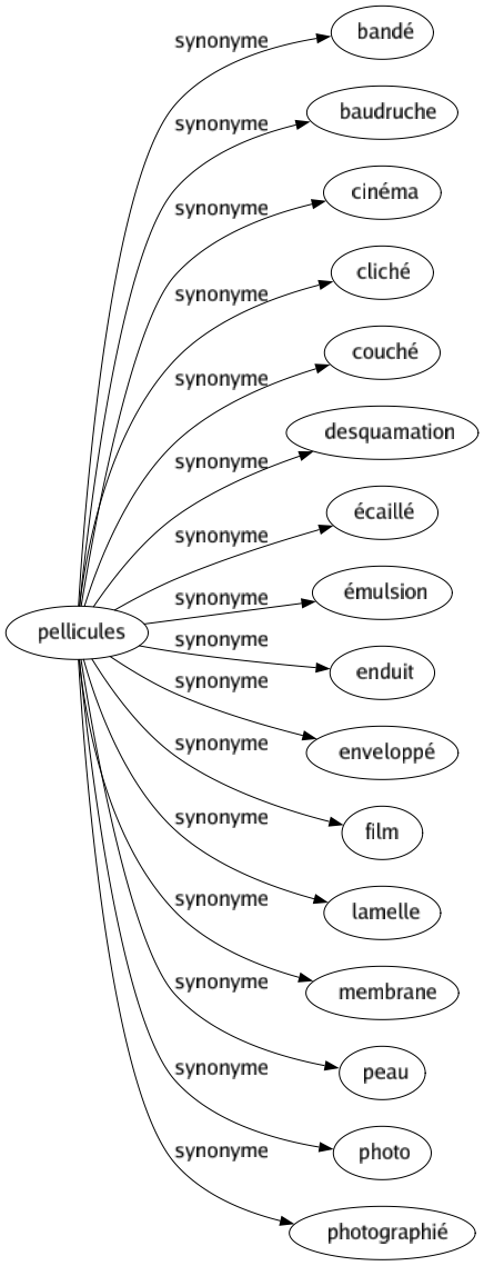 Synonyme de Pellicules : Bandé Baudruche Cinéma Cliché Couché Desquamation Écaillé Émulsion Enduit Enveloppé Film Lamelle Membrane Peau Photo Photographié 