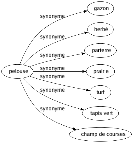 Synonyme de Pelouse : Gazon Herbé Parterre Prairie Turf Tapis vert Champ de courses 