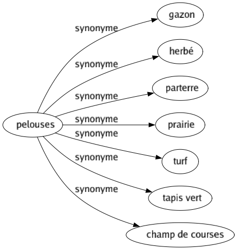 Synonyme de Pelouses : Gazon Herbé Parterre Prairie Turf Tapis vert Champ de courses 