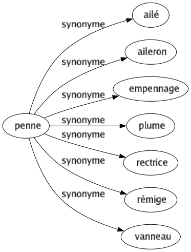 Synonyme de Penne : Ailé Aileron Empennage Plume Rectrice Rémige Vanneau 