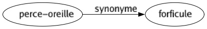 Synonyme de Perce-oreille : Forficule 