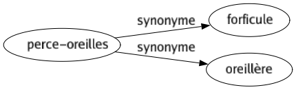 Synonyme de Perce-oreilles : Forficule Oreillère 