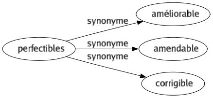 Synonyme de Perfectibles : Améliorable Amendable Corrigible 