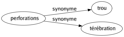 Synonyme de Perforations : Trou Térébration 