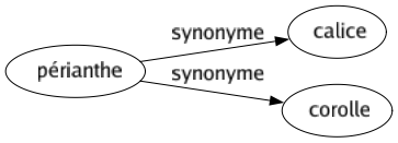 Synonyme de Périanthe : Calice Corolle 