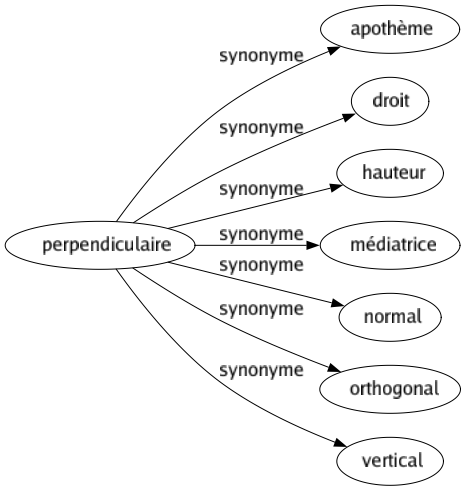 Synonyme de Perpendiculaire : Apothème Droit Hauteur Médiatrice Normal Orthogonal Vertical 