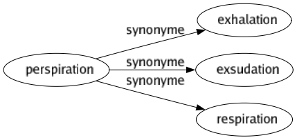 Synonyme de Perspiration : Exhalation Exsudation Respiration 