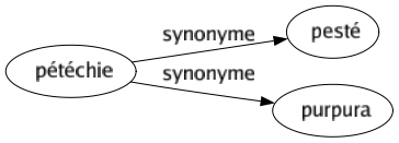 Synonyme de Pétéchie : Pesté Purpura 