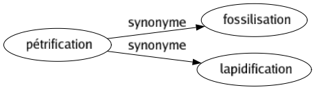 Synonyme de Pétrification : Fossilisation Lapidification 