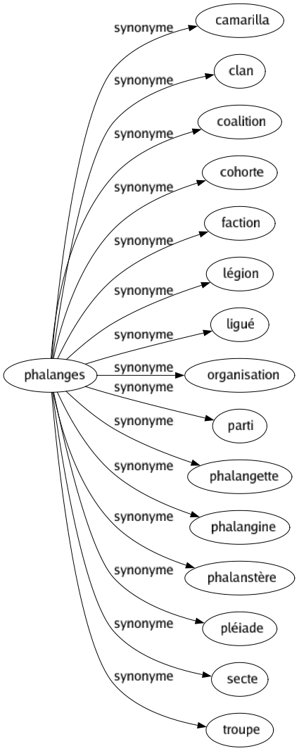 Synonyme de Phalanges : Camarilla Clan Coalition Cohorte Faction Légion Ligué Organisation Parti Phalangette Phalangine Phalanstère Pléiade Secte Troupe 