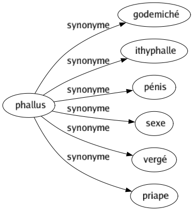Synonyme de Phallus : Godemiché Ithyphalle Pénis Sexe Vergé Priape 