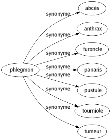 Synonyme de Phlegmon : Abcès Anthrax Furoncle Panaris Pustule Tourniole Tumeur 