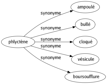 Synonyme de Phlyctène : Ampoulé Bullé Cloqué Vésicule Boursoufflure 