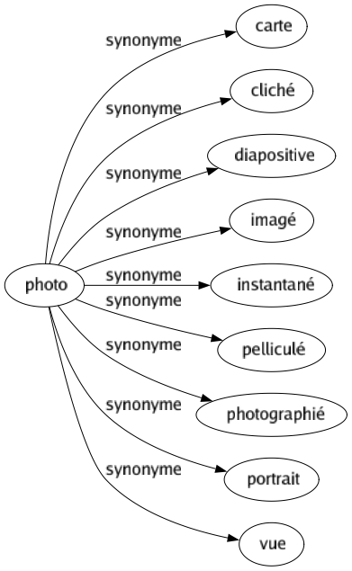 Synonyme de Photo : Carte Cliché Diapositive Imagé Instantané Pelliculé Photographié Portrait Vue 