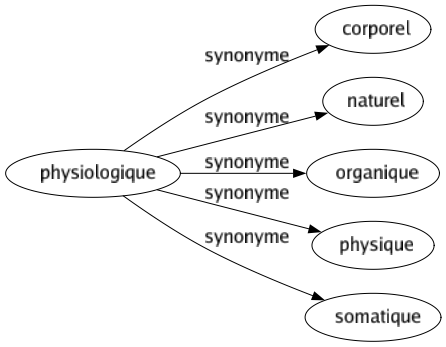 Synonyme de Physiologique : Corporel Naturel Organique Physique Somatique 