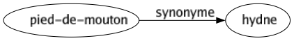 Synonyme de Pied-de-mouton : Hydne 