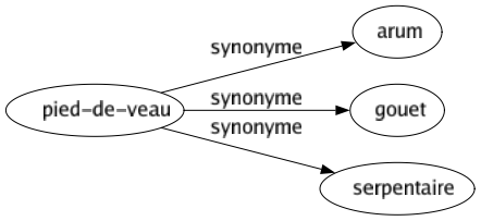 Synonyme de Pied-de-veau : Arum Gouet Serpentaire 