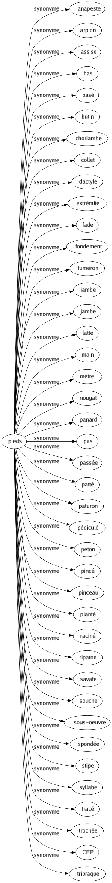 Synonyme de Pieds : Anapeste Arpion Assise Bas Basé Butin Choriambe Collet Dactyle Extrémité Fade Fondement Fumeron Iambe Jambe Latte Main Mètre Nougat Panard Pas Passée Patté Paturon Pédiculé Peton Pincé Pinceau Planté Raciné Ripaton Savate Souche Sous-oeuvre Spondée Stipe Syllabe Tracé Trochée Cep Tribraque 