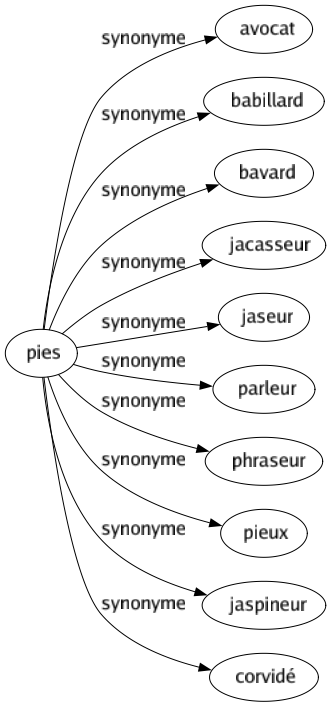 Synonyme de Pies : Avocat Babillard Bavard Jacasseur Jaseur Parleur Phraseur Pieux Jaspineur Corvidé 