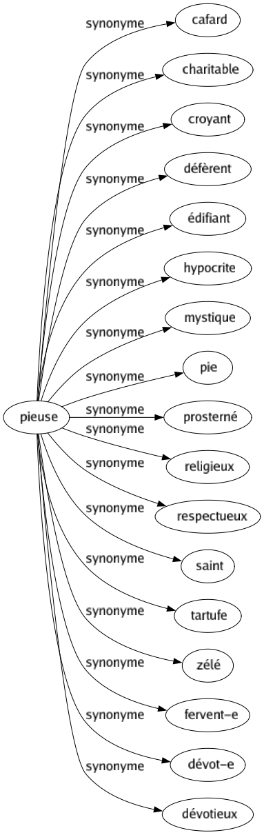 Synonyme de Pieuse : Cafard Charitable Croyant Défèrent Édifiant Hypocrite Mystique Pie Prosterné Religieux Respectueux Saint Tartufe Zélé Fervent-e Dévot-e Dévotieux 