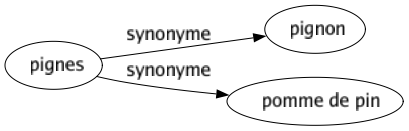 Synonyme de Pignes : Pignon Pomme de pin 