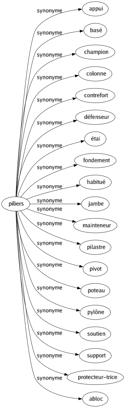 Synonyme de Piliers : Appui Basé Champion Colonne Contrefort Défenseur Étai Fondement Habitué Jambe Mainteneur Pilastre Pivot Poteau Pylône Soutien Support Protecteur-trice Abloc 