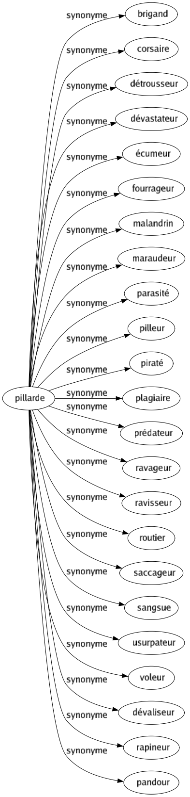 Synonyme de Pillarde : Brigand Corsaire Détrousseur Dévastateur Écumeur Fourrageur Malandrin Maraudeur Parasité Pilleur Piraté Plagiaire Prédateur Ravageur Ravisseur Routier Saccageur Sangsue Usurpateur Voleur Dévaliseur Rapineur Pandour 