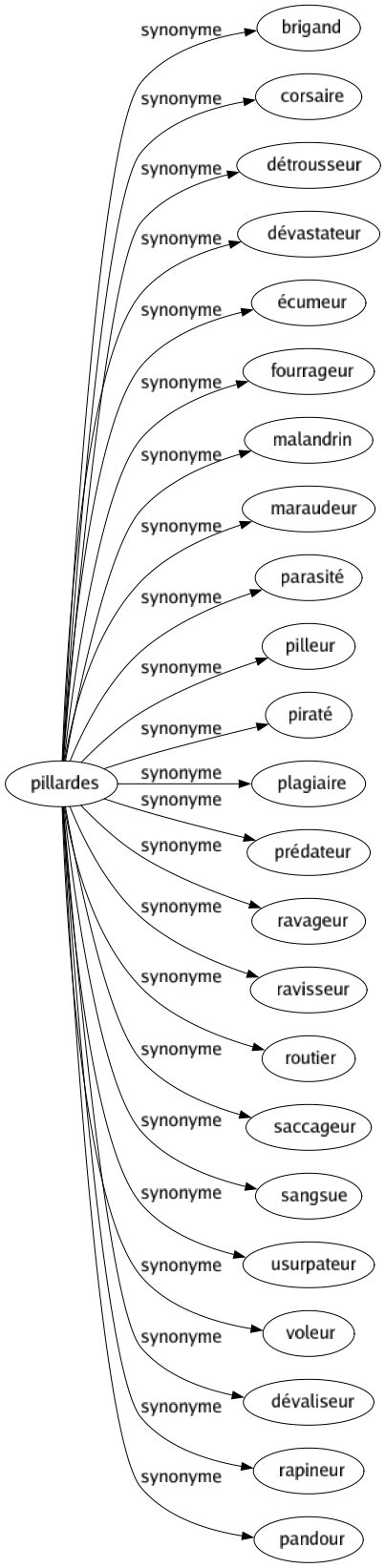 Synonyme de Pillardes : Brigand Corsaire Détrousseur Dévastateur Écumeur Fourrageur Malandrin Maraudeur Parasité Pilleur Piraté Plagiaire Prédateur Ravageur Ravisseur Routier Saccageur Sangsue Usurpateur Voleur Dévaliseur Rapineur Pandour 