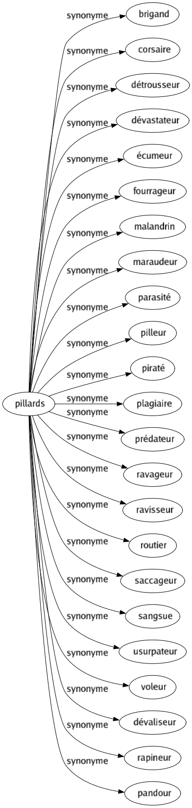 Synonyme de Pillards : Brigand Corsaire Détrousseur Dévastateur Écumeur Fourrageur Malandrin Maraudeur Parasité Pilleur Piraté Plagiaire Prédateur Ravageur Ravisseur Routier Saccageur Sangsue Usurpateur Voleur Dévaliseur Rapineur Pandour 