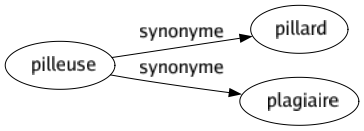 Synonyme de Pilleuse : Pillard Plagiaire 