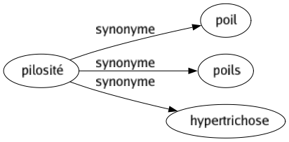 Synonyme de Pilosité : Poil Poils Hypertrichose 