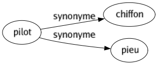 Synonyme de Pilot : Chiffon Pieu 