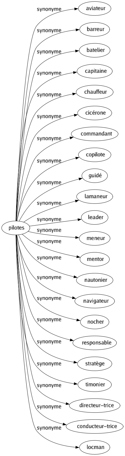 Synonyme de Pilotes : Aviateur Barreur Batelier Capitaine Chauffeur Cicérone Commandant Copilote Guidé Lamaneur Leader Meneur Mentor Nautonier Navigateur Nocher Responsable Stratège Timonier Directeur-trice Conducteur-trice Locman 