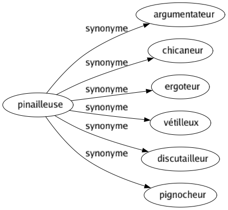 Synonyme de Pinailleuse : Argumentateur Chicaneur Ergoteur Vétilleux Discutailleur Pignocheur 