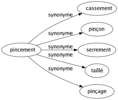 Synonyme de Pincement : Cassement Pinçon Serrement Taillé Pinçage 