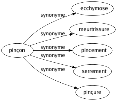 Synonyme de Pinçon : Ecchymose Meurtrissure Pincement Serrement Pinçure 