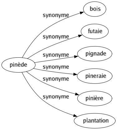 Synonyme de Pinède : Bois Futaie Pignade Pineraie Pinière Plantation 