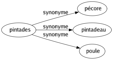 Synonyme de Pintades : Pécore Pintadeau Poule 