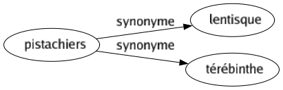 Synonyme de Pistachiers : Lentisque Térébinthe 