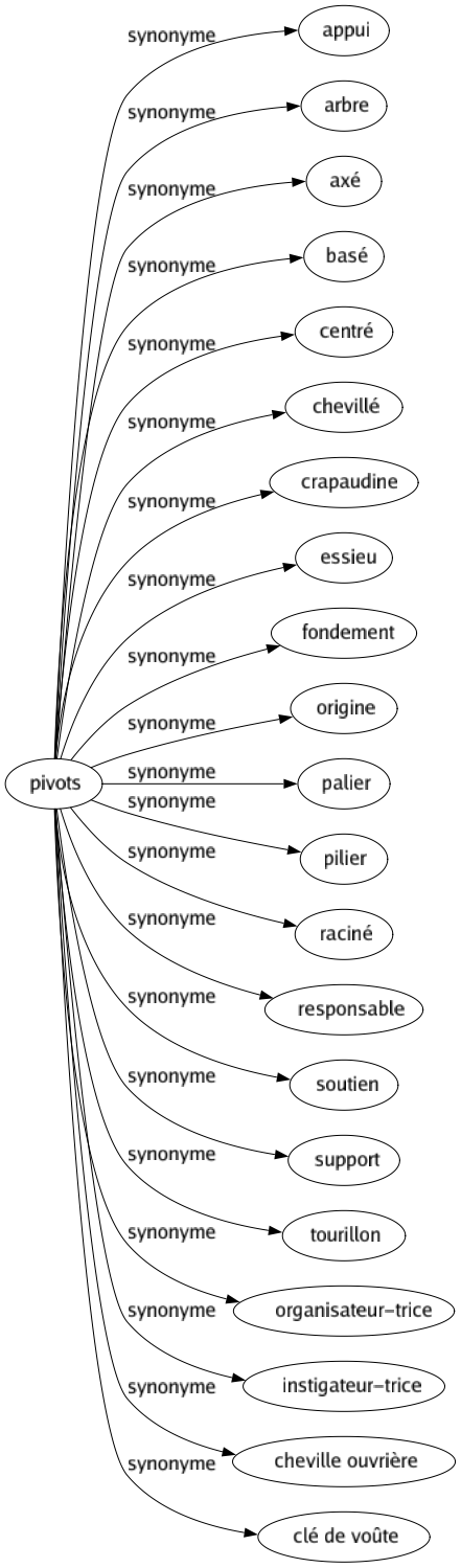 Synonyme de Pivots : Appui Arbre Axé Basé Centré Chevillé Crapaudine Essieu Fondement Origine Palier Pilier Raciné Responsable Soutien Support Tourillon Organisateur-trice Instigateur-trice Cheville ouvrière Clé de voûte 