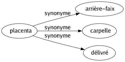 Synonyme de Placenta : Arrière-faix Carpelle Délivré 