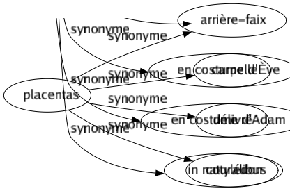 Synonyme de Placentas : Arrière-faix Carpelle Délivré Cotylédon 