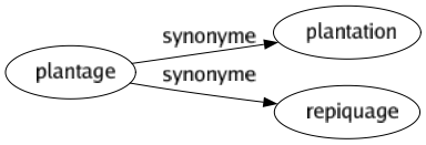 Synonyme de Plantage : Plantation Repiquage 