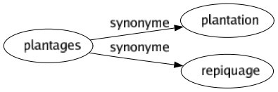 Synonyme de Plantages : Plantation Repiquage 