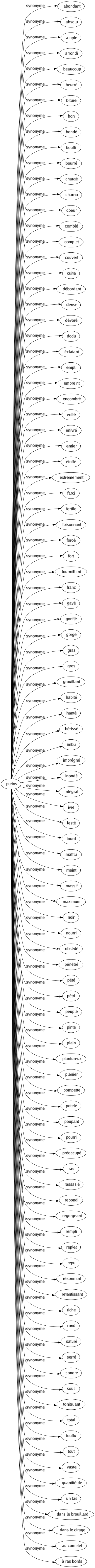 Synonyme de Pleins : Abondant Absolu Ample Arrondi Beaucoup Beurré Biture Bon Bondé Bouffi Bourré Chargé Charnu Coeur Comblé Complet Couvert Cuite Débordant Dense Dévoré Dodu Éclatant Empli Empreint Encombré Enflé Enivré Entier Étoffé Extrêmement Farci Fertile Foisonnant Forcé Fort Fourmillant Franc Gavé Gonflé Gorgé Gras Gros Grouillant Habité Hanté Hérissé Imbu Imprégné Inondé Intégral Ivre Lesté Lourd Mafflu Maint Massif Maximum Noir Nourri Obsédé Pénétré Pété Pétri Peuplé Pinte Plain Plantureux Plénier Pompette Potelé Poupard Pourri Préoccupé Ras Rassasié Rebondi Regorgeant Rempli Replet Repu Résonnant Retentissant Riche Rond Saturé Serré Sonore Soûl Tonitruant Total Touffu Tout Vaste Quantité de Un tas Dans le brouillard Dans le cirage Au complet À ras bords 