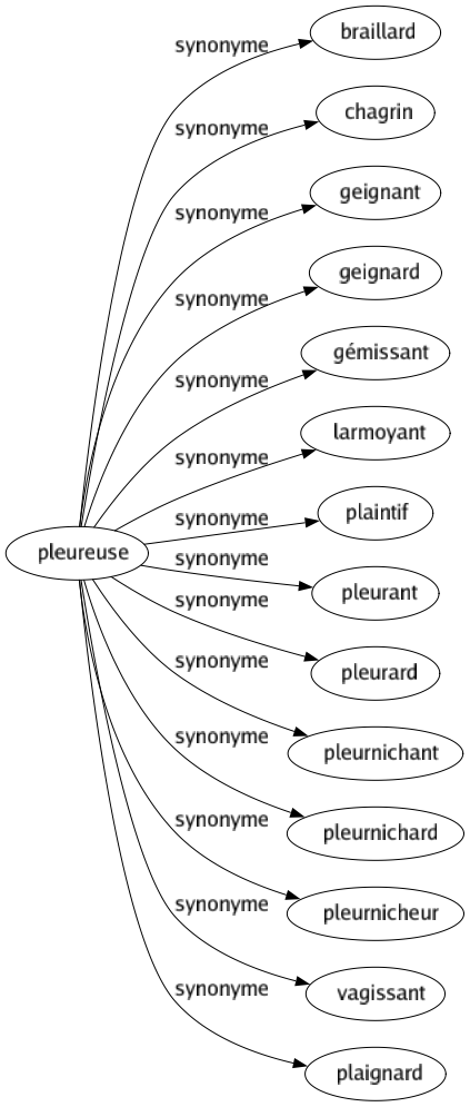 Synonyme de Pleureuse : Braillard Chagrin Geignant Geignard Gémissant Larmoyant Plaintif Pleurant Pleurard Pleurnichant Pleurnichard Pleurnicheur Vagissant Plaignard 