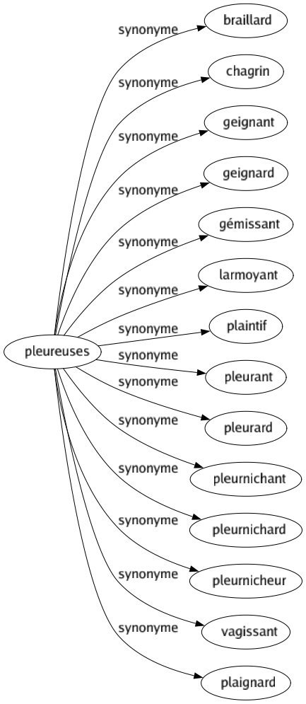 Synonyme de Pleureuses : Braillard Chagrin Geignant Geignard Gémissant Larmoyant Plaintif Pleurant Pleurard Pleurnichant Pleurnichard Pleurnicheur Vagissant Plaignard 