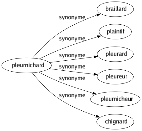 Synonyme de Pleurnichard : Braillard Plaintif Pleurard Pleureur Pleurnicheur Chignard 