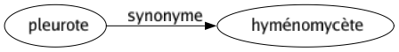 Synonyme de Pleurote : Hyménomycète 
