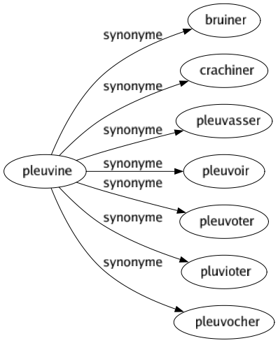 Synonyme de Pleuvine : Bruiner Crachiner Pleuvasser Pleuvoir Pleuvoter Pluvioter Pleuvocher 